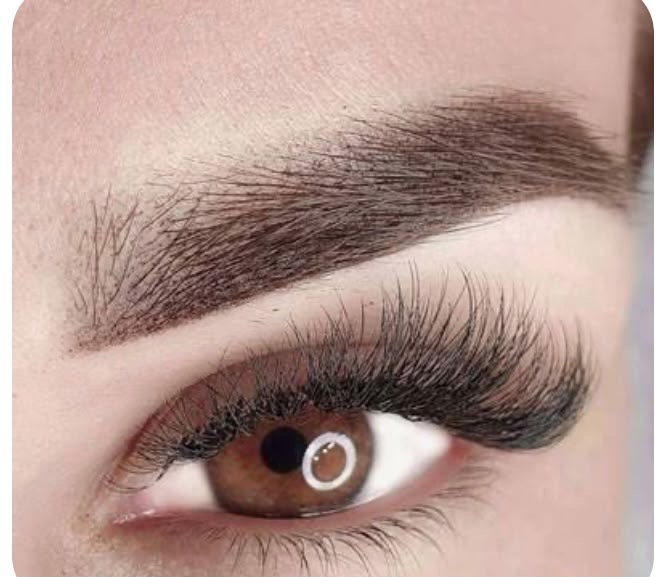 Wimpernverlängerung – Detailaufnahme eines fertigen Ergebnisses
